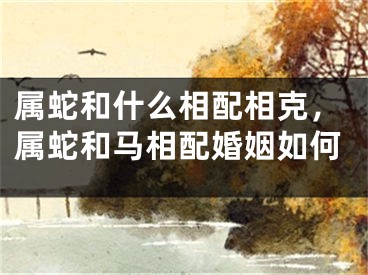 属蛇和什么相配相克,属蛇和马相配婚姻如何