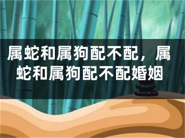 属蛇和属狗配不配,属蛇和属狗配不配婚姻