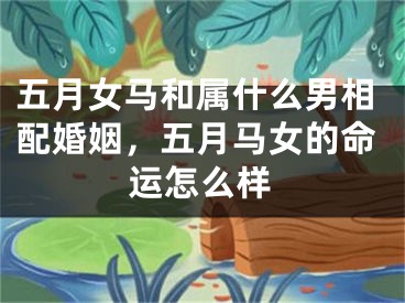 五月女马和属什么男相配婚姻,五月马女的命运怎么样