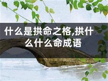 什么是拱命之格,拱什么什么命成语