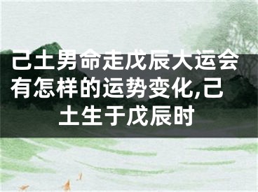 己土男命走戊辰大运会有怎样的运势变化,己土生于戊辰时