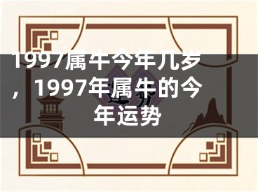 1997属牛今年几岁，1997年属牛的今年运势