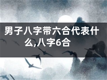 男子八字带六合代表什么,八字6合