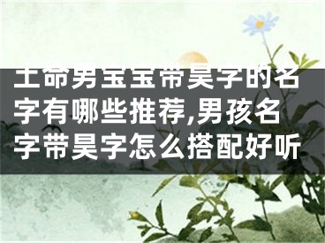 土命男宝宝带昊字的名字有哪些推荐,男孩名字带昊字怎么搭配好听