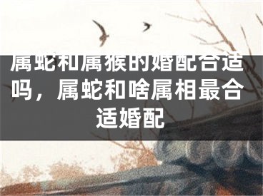 属蛇和属猴的婚配合适吗,属蛇和啥属相最合适婚配
