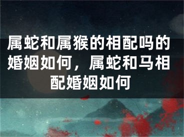 属蛇和属猴的相配吗的婚姻如何,属蛇和马相配婚姻如何