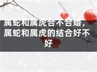 属蛇和属虎合不合婚，属蛇和属虎的结合好不好