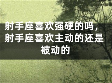射手座喜欢强硬的吗，射手座喜欢主动的还是被动的