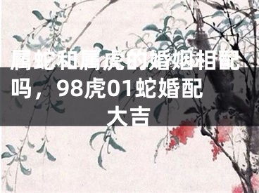 属蛇和属虎的婚姻相配吗,98虎01蛇婚配大吉