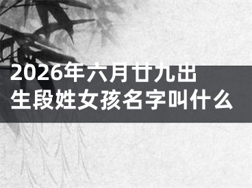 2026年六月廿九出生段姓女孩名字叫什么
