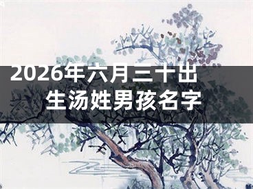 2026年六月三十出生汤姓男孩名字