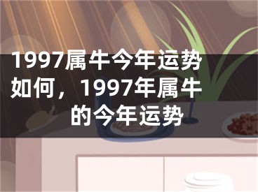 1997属牛今年运势如何,1997年属牛的今年运势
