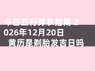 今日五行穿衣指南 2026年12月20日黄历是剃胎发吉日吗