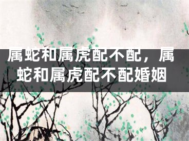 属蛇和属虎配不配,属蛇和属虎配不配婚姻