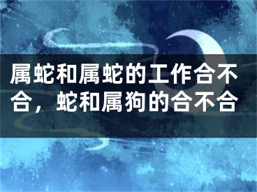 属蛇和属蛇的工作合不合，蛇和属狗的合不合