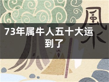 73年属牛人五十大运到了
