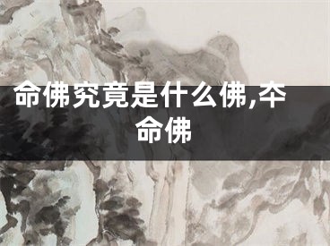 命佛究竟是什么佛,夲命佛