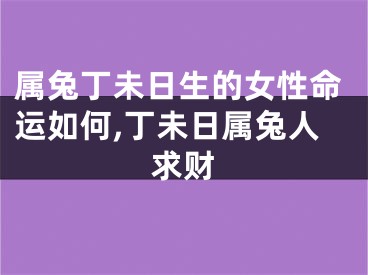 属兔丁未日生的女性命运如何,丁未日属兔人求财