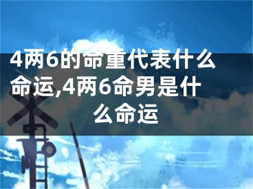 4两6的命重代表什么命运,4两6命男是什么命运