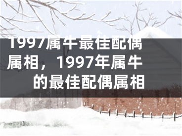 1997属牛最佳配偶属相，1997年属牛的最佳配偶属相