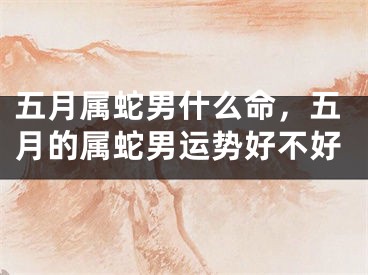 五月属蛇男什么命，五月的属蛇男运势好不好