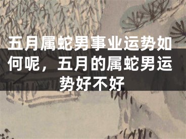 五月属蛇男事业运势如何呢，五月的属蛇男运势好不好