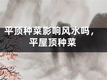 平顶种菜影响风水吗，平屋顶种菜