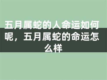 五月属蛇的人命运如何呢,五月属蛇的命运怎么样