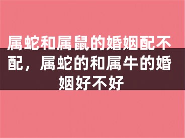 属蛇和属鼠的婚姻配不配,属蛇的和属牛的婚姻好不好