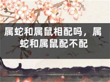 属蛇和属鼠相配吗,属蛇和属鼠配不配