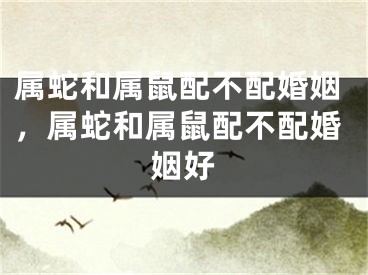 属蛇和属鼠配不配婚姻,属蛇和属鼠配不配婚姻好