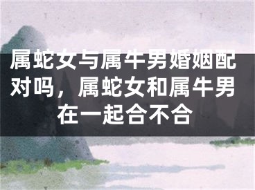 属蛇女与属牛男婚姻配对吗,属蛇女和属牛男在一起合不合