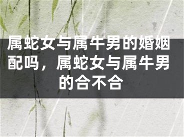 属蛇女与属牛男的婚姻配吗,属蛇女与属牛男的合不合