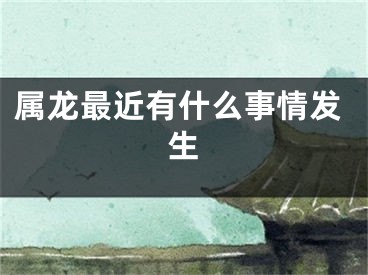 属龙最近有什么事情发生