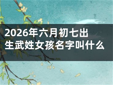 2026年六月初七出生武姓女孩名字叫什么