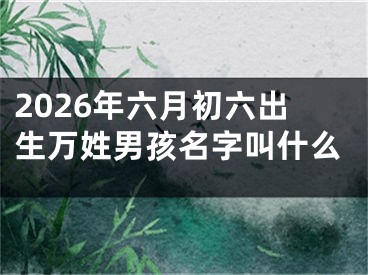2026年六月初六出生万姓男孩名字叫什么