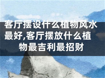 客厅摆设什么植物风水最好,客厅摆放什么植物最吉利最招财