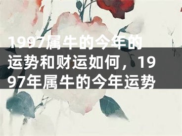1997属牛的今年的运势和财运如何，1997年属牛的今年运势