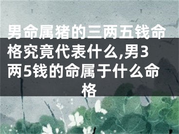 男命属猪的三两五钱命格究竟代表什么,男3两5钱的命属于什么命格