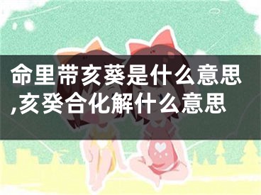 命里带亥葵是什么意思,亥癸合化解什么意思