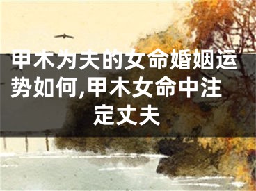 甲木为夫的女命婚姻运势如何,甲木女命中注定丈夫