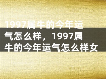1997属牛的今年运气怎么样，1997属牛的今年运气怎么样女