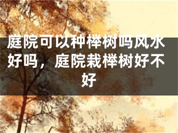 庭院可以种榉树吗风水好吗，庭院栽榉树好不好