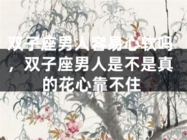 双子座男人容易心软吗，双子座男人是不是真的花心靠不住