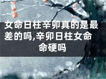 女命日柱辛卯真的是最差的吗,辛卯日柱女命命硬吗