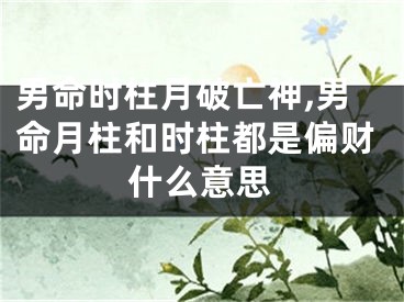 男命时柱月破亡神,男命月柱和时柱都是偏财什么意思
