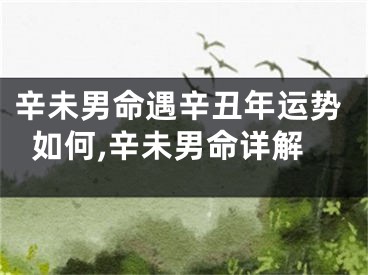 辛未男命遇辛丑年运势如何,辛未男命详解