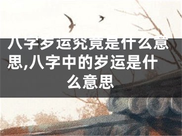 八字岁运究竟是什么意思,八字中的岁运是什么意思