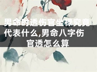 男命时透伤官坐禄究竟代表什么,男命八字伤官透怎么算