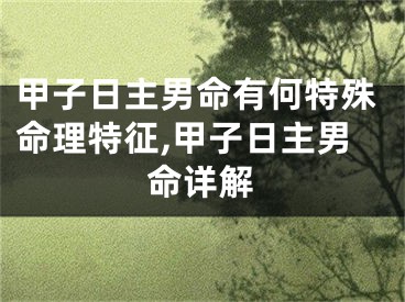 甲子日主男命有何特殊命理特征,甲子日主男命详解